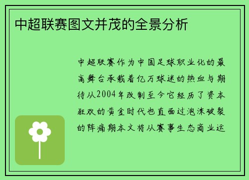 中超联赛图文并茂的全景分析